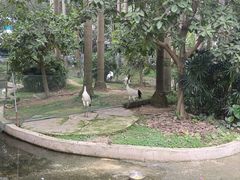 -南宁市动物园