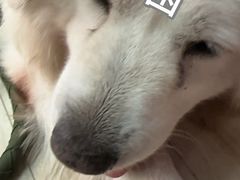 -Vamos巴猫司健身中心(五角场店)