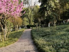 -龙头寺公园