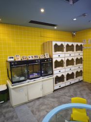 -神奇动物撸宠馆·羊驼·小浣熊·异宠(豫园店)