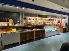 -黄山屯溪国际机场