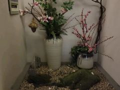 -韵道养生(古美店)