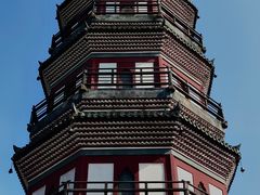 -顺峰山公园