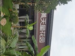 -满天星花园