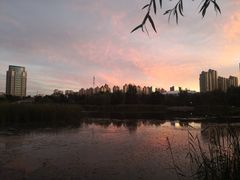 -群力丁香公园