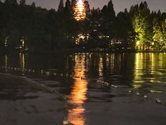 -西湖外事游船(湖滨二公园外事游船码头)