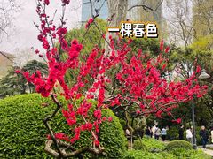 -静安公园(静安寺街道)