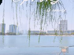 -尚贤河湿地