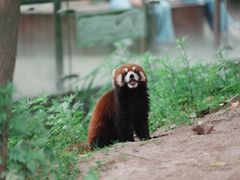 -宁波野生动物园