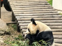 -天目湖御水温泉·度假酒店