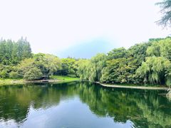 -上海共青森林公园