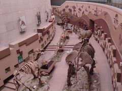 -陕西自然博物馆