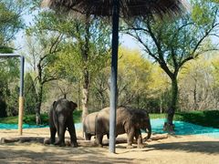 -北京野生动物园