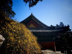 -香山公园