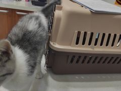 -爱诺动物医院(崂山店)