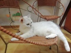 -万小咖.猫咖(中山路天虹店)