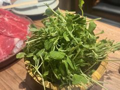 -洞庭家宴·头牌甲鱼(广渠门店)