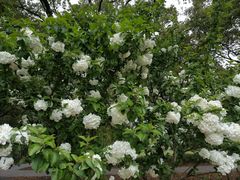 -共青国家森林公园-售票处