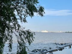 -上海吴淞炮台湾国家湿地公园