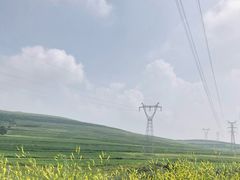 -张北坝上草原