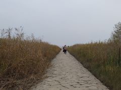 -上海崇明金茂凯悦酒店