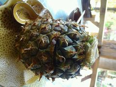 android_upload_pic-纳兰傣雀傣味餐厅