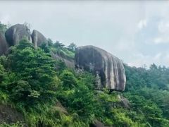 -玉苍山国家森林公园