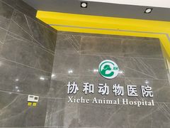 -瑞鹏瑞爱宠物医院·全科·猫科·血液透析中心(龙头寺店)