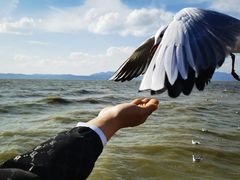 -捞渔河湿地公园