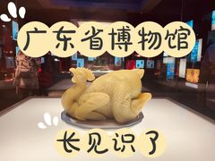 -广东省博物馆