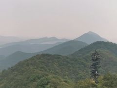 -杭州半山国家森林公园