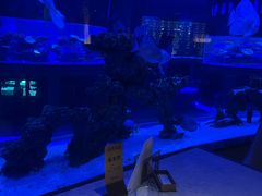 -上和臻品中国菜(花园街店)