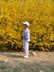 -格林童趣专业儿童摄影(公益西桥店)