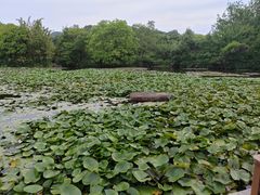 -白马涧龙池景区