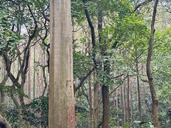 -广州市白云山风景名胜区