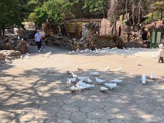 -燕塞湖鸟语林景区