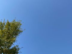 -武汉紫薇都市田园