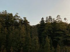 -广州市帽峰山景区