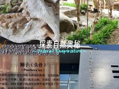 -中国第四纪冰川遗迹陈列馆