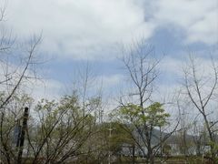 -宝荣鱼馆·临湖之宴(千岛湖店)