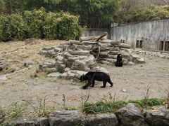 -宁波野生动物园