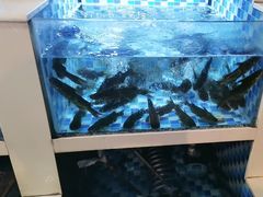-野渡坡·极致湘菜·庭院餐厅(汉阳店)