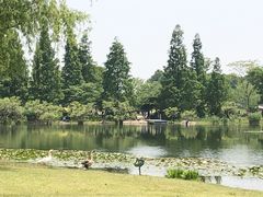 -上海辰山植物园