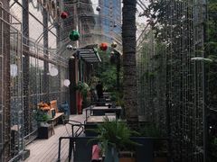 -胡桃里音乐酒馆(东区店)