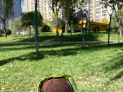 -木塔寺遗址生态公园