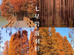 -星湖旅游景区七星岩