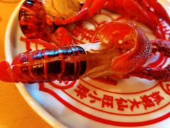 -旺小胖小龙虾