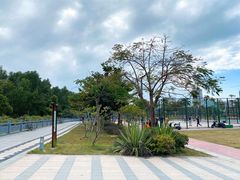 -金鸡岭桥头公园