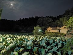 -韶山毛泽东同志故居