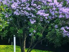 -重庆中央公园(渝北区)